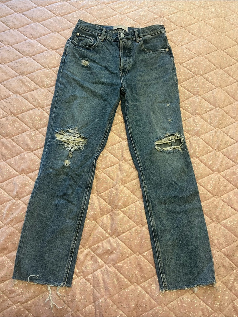 Everlane Dark Blue Ripped Straight Jeans